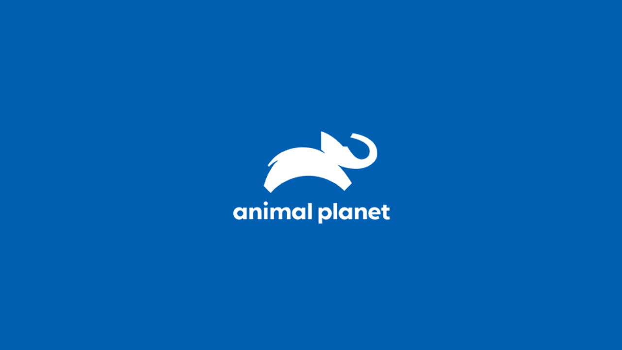 Animal Planet Online